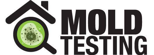 Mold Testing 01 Radon & Mold